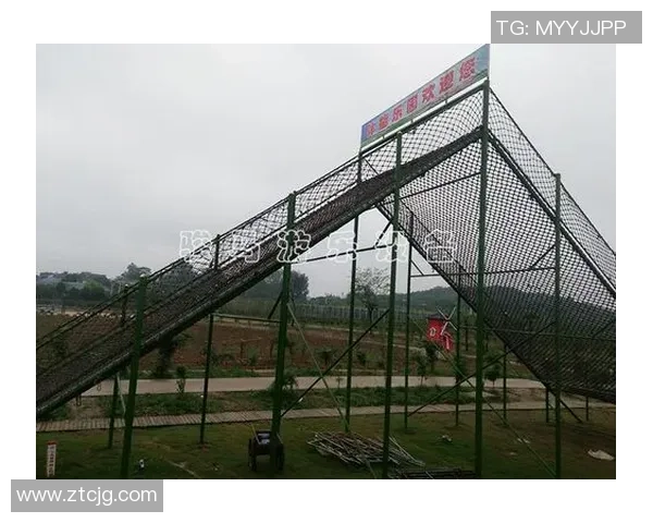 南京攀岩队实力对比深度解析及未来发展趋势探讨