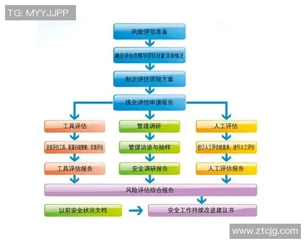 南京飞盘队近期状态分析与表现评估探讨