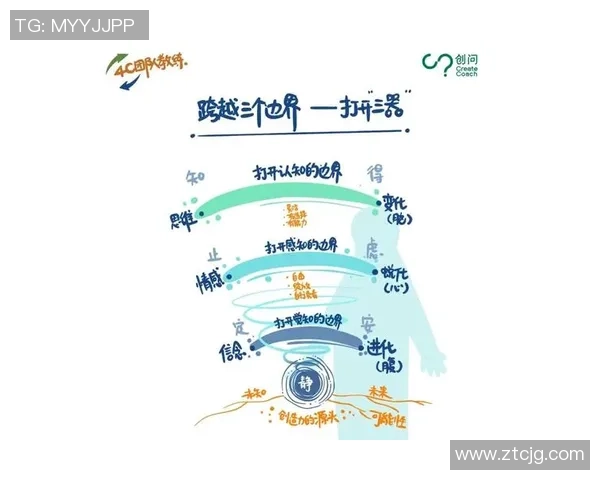 南京飞盘队个人能力分析与团队协作的深度探讨